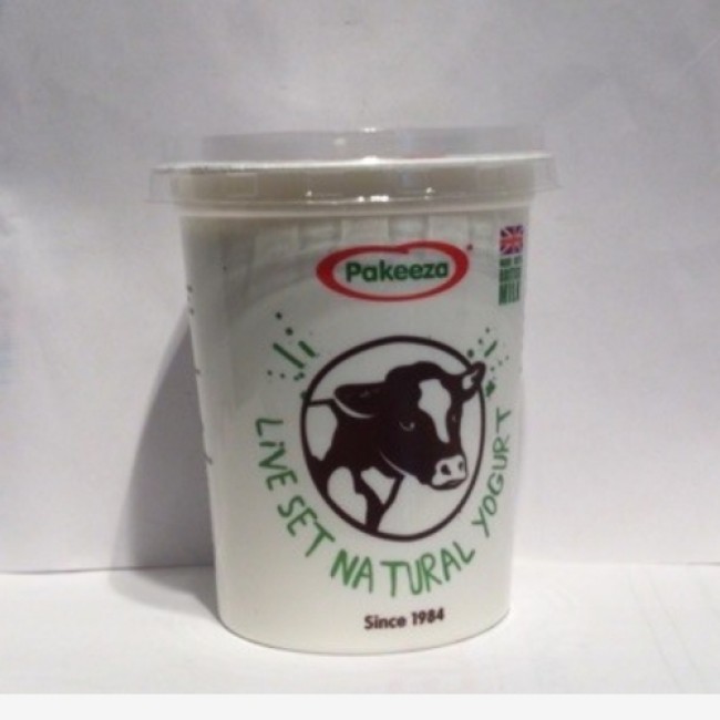 PAKEEZA NATURAL YOGURT 425g